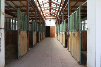 Steel Horse Barn
